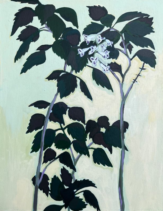 Dark botanical study with pale blooms on a sage ground