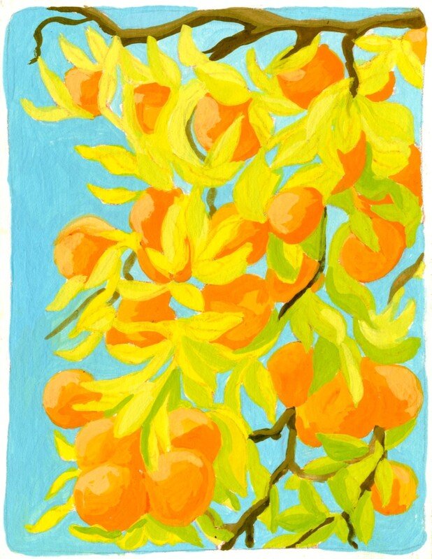 Gouache study of a citrus branch