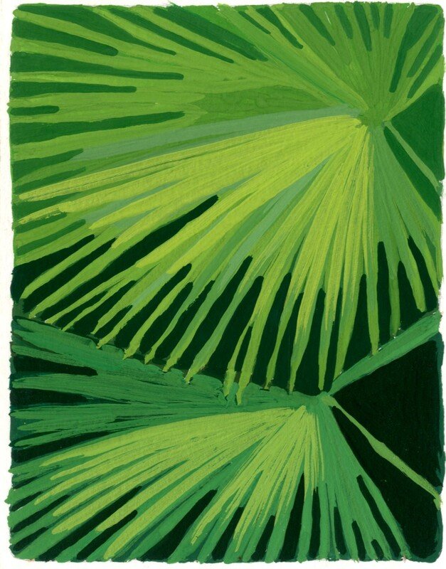 Gouache study of green palm fans